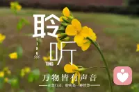 真正的聆听，是让另一个人的声音，在你心中找到回响的家。