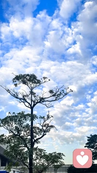 你知道你的一切都是你信念的意思，你知道吗？你的每一个面都会创造一个世界，知道吧？有这样的心，身、口、意、皆成业力，你每说的一句话，你内心的每一个想法，你的每一个行为都会带来一个结果。坚定信念，多往好的地方去想！