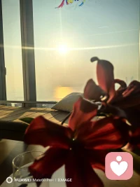 你是否有什么心里话无处诉说，家人知道会担心，朋友知道也许内心在偷笑。心里的苦无人知，来吧我朋友让我做你的树洞。给自己倒一杯清茶或者🍺，慢慢说…