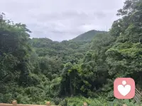 今天的家庭日结束了！期待下次再聚！努力创造美好回忆！配图