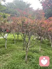 闪闪发光的人是星光，照亮方向；默默做事的人是大地，托举一切。没有谁比谁更重要，就像星空再璀璨，也离不开脚下的路——抬头时的向往，要靠低头时的踏实一步步去靠近。配图