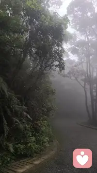 落雨大，水浸街，阿哥担柴上街卖，阿嫂出街着花鞋。
花鞋、花袜、花腰带，珍珠蝴蝶两边排。