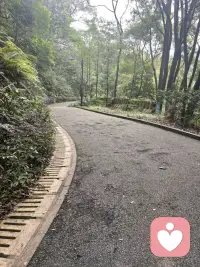 纵有万般不易，仍要心怀热忱。踏过荆棘，方能拥抱属于自己的山海。