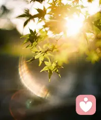 太阳就挂在那儿。
不急，也不催。

工作学习再忙，
也给自己片刻休息的时间。

☁️