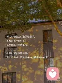 怡然自得中～

喝点小酒，吹吹小风

舒坦😊配图