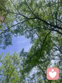 我要想的是“如何成事”，不是“如何赢过某人”。赢了谁，对我不重要；赢了事，对我才重要。配图