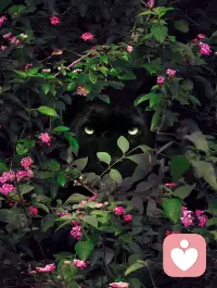 你们每个人有没有阴暗面呢？

敢承认吗？

你的阴暗面是什么呢？