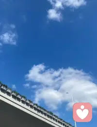 庄子与曾国藩的跨时空对话·中庸之道

曾国藩说:人天生趋易避难，所以要逼自己。庄子轻声道:庖丁十九年游刃有余，不是一直用力，而是终于懂得何时不必用力。

一个教人克己，一个教人顺天。看似两端，实则同源。

那些停不下来的自我逼迫、总觉得不够好的惶恐，或许是潜意识旧伤在说话曾以为只有拼命才配被爱。疗愈，不是继续苛责，而是看见它，拥抱那个不敢停的自己。

松，不是放弃，是让紧绷的神经重新相信安全。克己，不是厌恶自己，而是带着温柔修正方向。
太紧则折，太松则废。不必强求世俗的“有
用”，也别用一生厌恶今天的自己。

在逼与松之间、在有为与无为之间，找到那条中道把潜意识里的伤，慢慢养成光。

安稳过完一生，也值得❤️