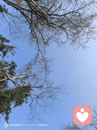 新的一天开始了，大家都要开开心心哦！开心✧٩(ˊωˋ*)و✧配图