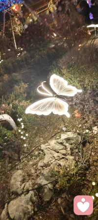 “语”是沟通的桥梁，是情感的载体；“安”是心灵的港湾，是生活的期盼。当“语”与“安”相遇，便有了温暖人心的力量，也有了抚慰灵魂的温度。配图