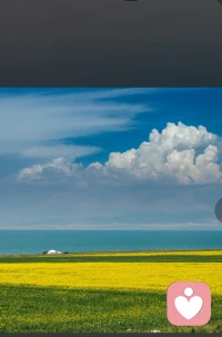 马年春风正好，日子慢慢发光。
把烦恼清零，给生活留白。
愿我们策马扬鞭，也能驻足看花。
愿你我都平安顺遂，万事胜意。✨