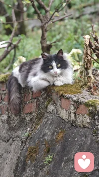 温柔是标配，撩人是技能
​
你主动点，我们的故事就开始了