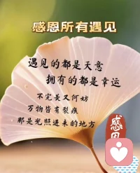 感恩每一份遇见～温暖治愈
时光里的每一次遇见，都像这温柔的树叶，带着美好与暖意
感恩那些出现在生命里的人，我们相互照亮，在迷茫时给予彼此方向；彼此温暖，在寒冷时成为对方的小太阳～
因为有了这些遇见，平凡的日子也变得闪闪发光