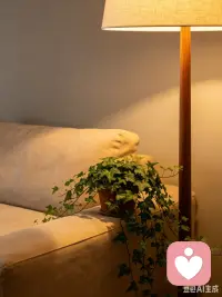 做你情绪的避风港，灵魂的树洞。倾听心事/情感解惑/情绪疏导/缓解内耗
匿名安心，全程温柔守护，给你满满的情绪安全感配图