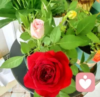 很多难过，说出来就轻了。
深夜的心事，没人懂的疲惫，
我愿意安静听完，温柔接住你的情绪。
你值得被理解，被好好对待。