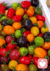 用心倾听，是温柔的力量，也是专业的修行。在每一次倾听里，看见情绪，读懂人心，慢慢成长为更有温度的心理倾听者✨配图