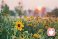 从倾听开始，读懂情绪，治愈自己也温暖
他人。稳步前行，在心理倾听的路上，慢慢发光配图