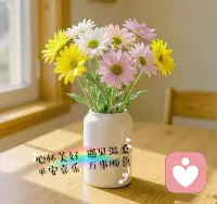 春天，是开始，是希望，

是既往不咎，是来日方长，

愿一切美好，随春而来。