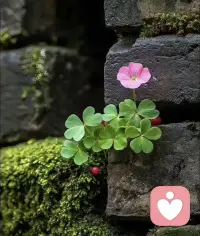 ✨ 认真过好今天吖!

这个时代最稀缺的两种品质：
认真和坚持。

认真的人，把自己活成了一束光；
坚持的人，最终走到了想去的地方。

#我用全身心的爱来迎接今天
愿你的每一天都是新的开始，新的希望🌼配图