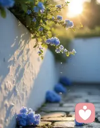 🍃 
选一种姿态，
让自己活得无可替代，

没有所谓的运气，
只有绝对的努力。配图