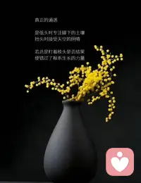 真正的通透是什么配图