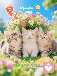 生活从不是一路繁花，
但沿途总有清风、暖阳与善意。

带着热爱往前走，
平凡的日子也会熠熠生辉。
愿我们都能在鸡零狗碎的生活里，
找到属于自己的小浪漫，被世间温柔以待。配图