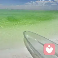 纠结过去是和自己博弈，
担心未来是和幻象博弈。
只有当下，是你和他握手言和。配图