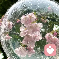 能走一辈子的关系，

无论是友情还是爱情，
都不是看博弈和套路，

而是源于骨子里的真诚与善良