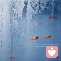 成年人的世界里，
没有爽快的答应就是拒绝。

不戳穿，是给对方留面子;

不追问，是给自己留尊严。