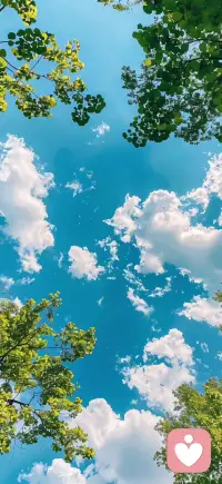 人要活在好的磁场里
喜欢你的人自然尊重你

不适合你的人 慢慢自动远离
而那些真正和你同频的人
一直都在你身边 欣赏你 鼓励你

一定要把自己养的好好的
好到任何人都得
掂量掂量才敢靠近你
这不是高傲 而是清醒💗