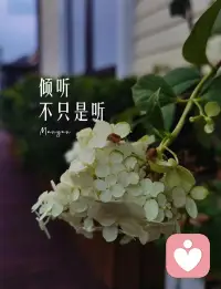 负面情绪也会像种子一样
不停的生长
甚至影响到周围的人
要学会自我释放