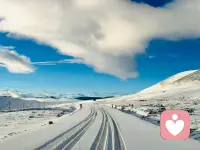 1.人生第一课，看淡夫妻：你们带着各自的原生伤痕，在柴米油盐里相互打磨，痛定思痛后会看到彼此的局限，真正的的接纳才开始。
2.人生第二课，放手子女：那是成全，我们总想给孩子铺平所有的路，可后来才懂，那些他们必须摔的跤，走错的岔路，才是他们的人生。成全他们成为自己，也成全自己从父母这个身份里退回到自己。
3.人生第三课，送别父母：那是归途，我们总以为来日方长，可父母是挡在我们与死亡之间的一堵墙，当墙倒了，我们才第一次直面生命的荒凉。从此，你既是自己的父母，也是自己的孩子。
4.人生第四课，善待自己：那是救赎，一生忙忙碌碌，为子女操劳，为公婆、父母尽孝，在漫长付出后，你也该好好善待自己了。
5.人生第五课，直面生死：那是归宿，来到这个世界上的每一个人，都是向死而生的，谁也逃不过。成长的教训大概就是让人越来越平静，会想通，会看淡，不再强求，就像蔡康永所说：人到了某个阶段，身边的人就会不断离开。[玫瑰][玫瑰][玫瑰][合十][合十][合十]