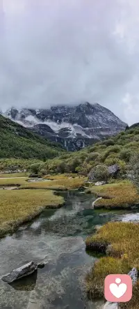 我的人生没有失败，要么成功，要么成长
我的人生没有敌人，全是老师，要么得到，要么学到
我的人生没有白走的路，对了就庆祝，错了就记住
我不会被任何人任何事困住，我允许一切发生，一切发生也终将有利于我！感恩遇见[合十][合十][合十]