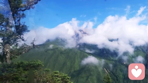 好的婚姻是彼此心疼,彼此迁就