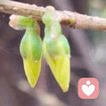 与你同频的头像