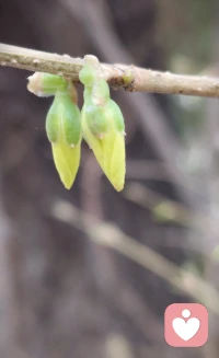 无论遇到什么样的阻力？都要给自己一个像样的生活状态[太阳]