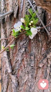 无论遇到什么样的阻力？都要给自己一个像样的生活状态[太阳]