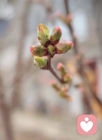 无论遇到什么样的阻力？都要给自己一个像样的生活状态[太阳]