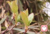 无论遇到什么样的阻力？都要给自己一个像样的生活状态[太阳]