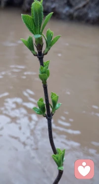 无论遇到什么样的阻力？都要给自己一个像样的生活状态[太阳]
