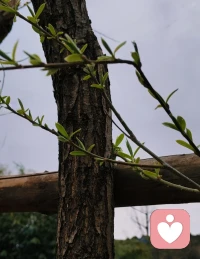 无论遇到什么样的阻力？都要给自己一个像样的生活状态[太阳]