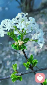 无论遇到什么样的阻力？都要给自己一个像样的生活状态[太阳]