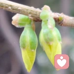 与你同频的头像