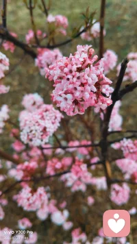 怀疑会让选择变慢
纠结会让自己困在当下
不追过去，也不畏惧未来配图