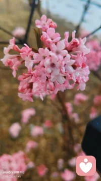 早起有很多变动，从手忙脚乱，到从容面对，是经历也是成长
我的生活不被定义，你的生活同样不被定义配图