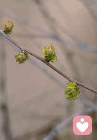 何须外求本自俱足
降低所有期待
放下所有在意
用空杯心装自己，只装自己，仅此而已

​配图