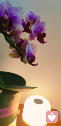 所有的事情有好有坏，有利有弊
你是站在了，哪一边看来这个问题呢？
如果站的角度是坏跟弊的角度，他会拉扯你走向消极的方面的
如果站的角度是好跟利的角度，它会支撑你走向积极的方面
决定权在自己的手里，体验感也在自己的身上