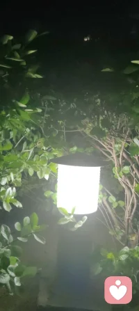我是阿雨情感
别回头、别怀念、别纠结，消耗你的人和感情，都该彻底翻篇。