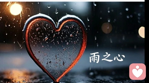 雨之心，国之所学，通透天道