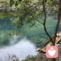 我是阿雨
守元精，顺天性，达天道，性即天道的福音
 
心为一身之主，性为天命之根。孟子曰：“尽其心者，知其性也；知其性，则知天矣。”夫子言性与天道，罕言而难传，盖此中道理，非身心俱悟者不能得。
 
人之根本，首在精、气、神，而精为根基，神为统帅。可控的欲望，是事物发展的前提；过度耗损精气，则会心神不宁、诸事不顺。如何教育儿子告诉他对少年而言，体内元精尤为珍贵，它是滋养筋骨、长养智慧、发育心智的源泉，更是支撑人立定鸿鹄之志的底气。守住元精，便是守住一身阳气，方能心无旁骛，立下远大志向，未来方能功成名就，成就一番伟业。唯有正视性能量，方能身动而心定，知行合一，在光明坦荡中获得身心的滋养，令人精神矍铄、神清气爽。
 
何为“性”？性，是生命的本然状态，是生命最本真的模样。它是生命的起源，是宇宙的元初之光，亦是万物生生不息的起点。天地有性，方有日月星辰的轮转；宇宙有性，方有星河皓月的璀璨；地球有性，方有山海林川的壮阔；草木有性，方有分枝繁盛的生机。一性入空，缘起而生，起死回生，生生不息。能领悟性的真谛，便是得道；得道，便是顺应天道。
 
天性本自上天所赐，循天性而行，便是合于天道。性能量，亦为天性中至真至纯的一部分，无需讳莫如深，亦不可放纵无度。男女之道，非仅肌肤之亲，更是两股能量的交汇与融合。当彼此以真诚之心联结，如两脉清流汇聚，便会形成相互滋养的能量场，在彼此的影响与纠缠中，完成自身内部的圆融与自足。而婚姻的真谛，正在于“人要离开父母，与妻子联合，二人成为一体，不可分开”。这份联结，当以互敬之约为基，以相守之誓为证，堂堂正正，坦坦荡荡，方能抵达亲密关系的最高旨意。
 
性能量不仅带来身心的愉悦，更藏着事物的底层道理。人性本善，非后天矫饰，实乃天性本然。仁义忠孝诸般美德，皆源于这份先天的本真。循天性而行，不欺暗室，不负本心，便是顺应天道；正视性能量，不压抑、不放纵，方能在亲密关系中修行，在天性与天道之间，寻得身心的平衡与生命的圆满。
 
你不仅能成为真正的人，更能顺应天道，达至天人合一之境。愿你我薪火相传，滋养人心，护持天性，代代延续，守住本心，传承风骨。配图